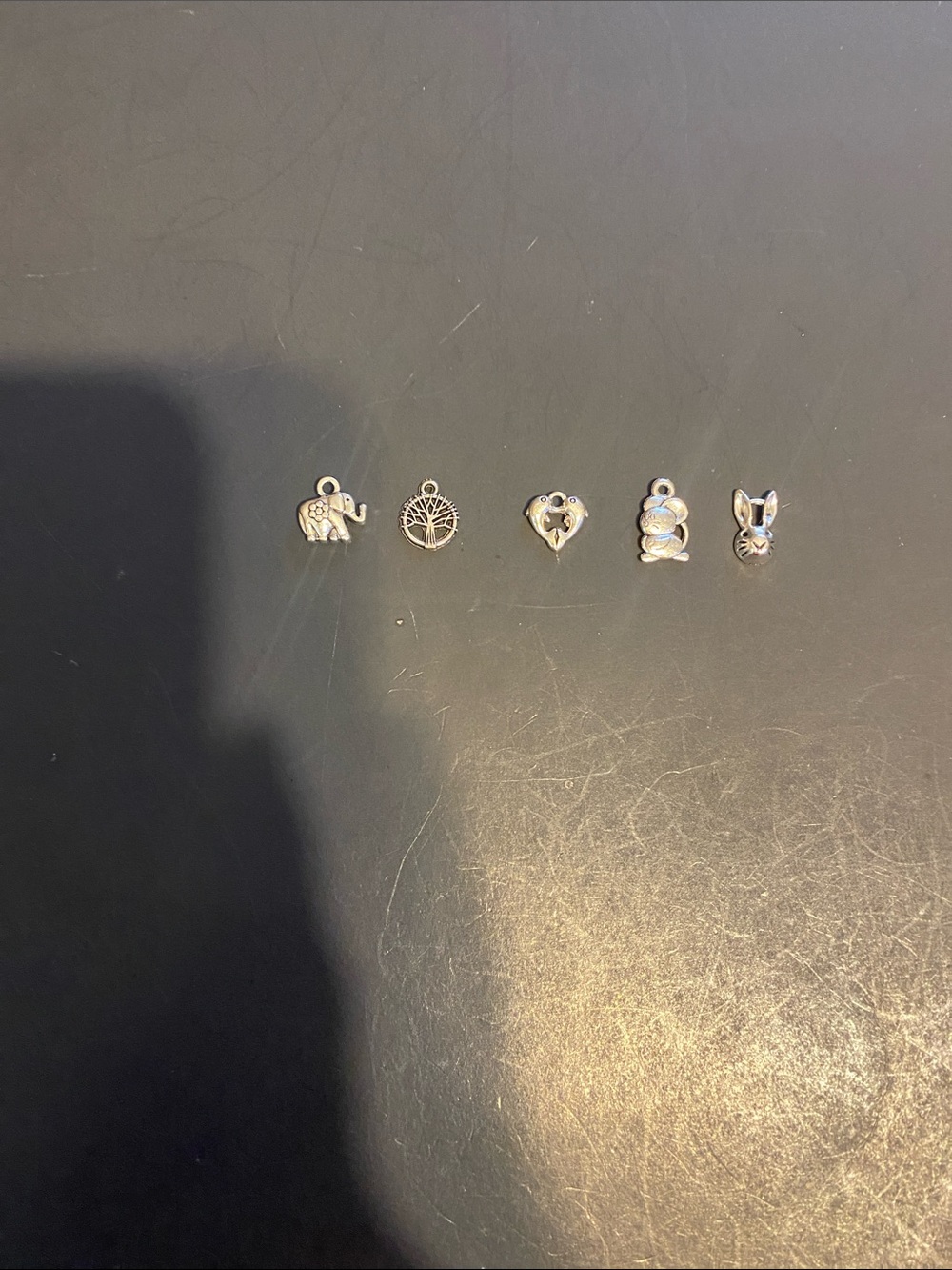 Fashion Jewelry Silver Pet & Nature Charm Set